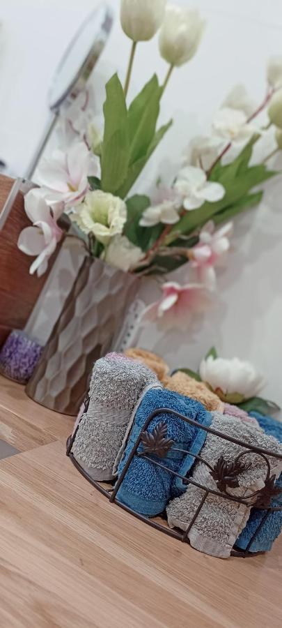Nova Apartment Sanok Ngoại thất bức ảnh