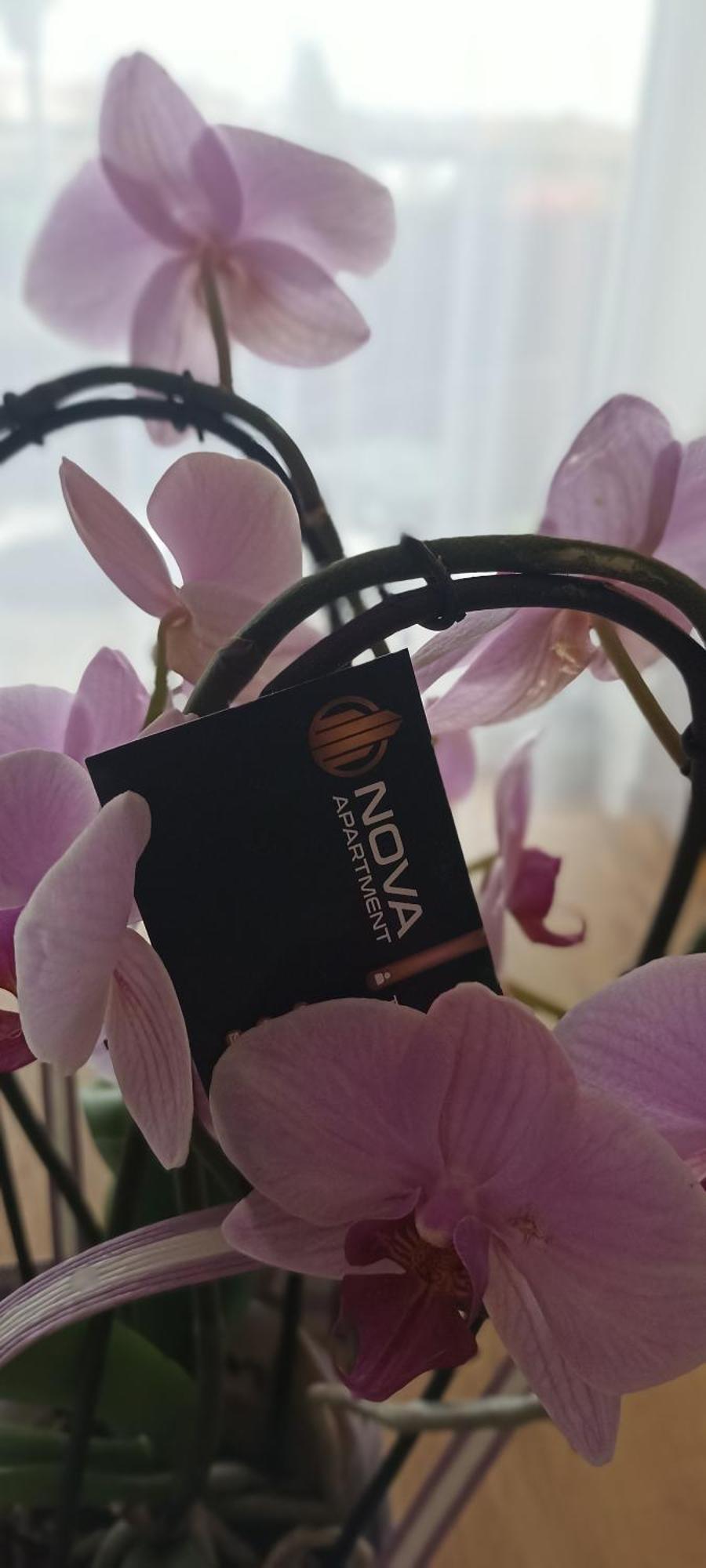 Nova Apartment Sanok Ngoại thất bức ảnh